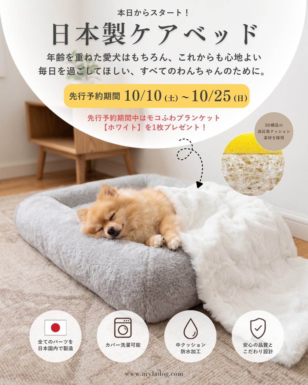マイラ・ケアベッド 先行予約スタート【特典付き】