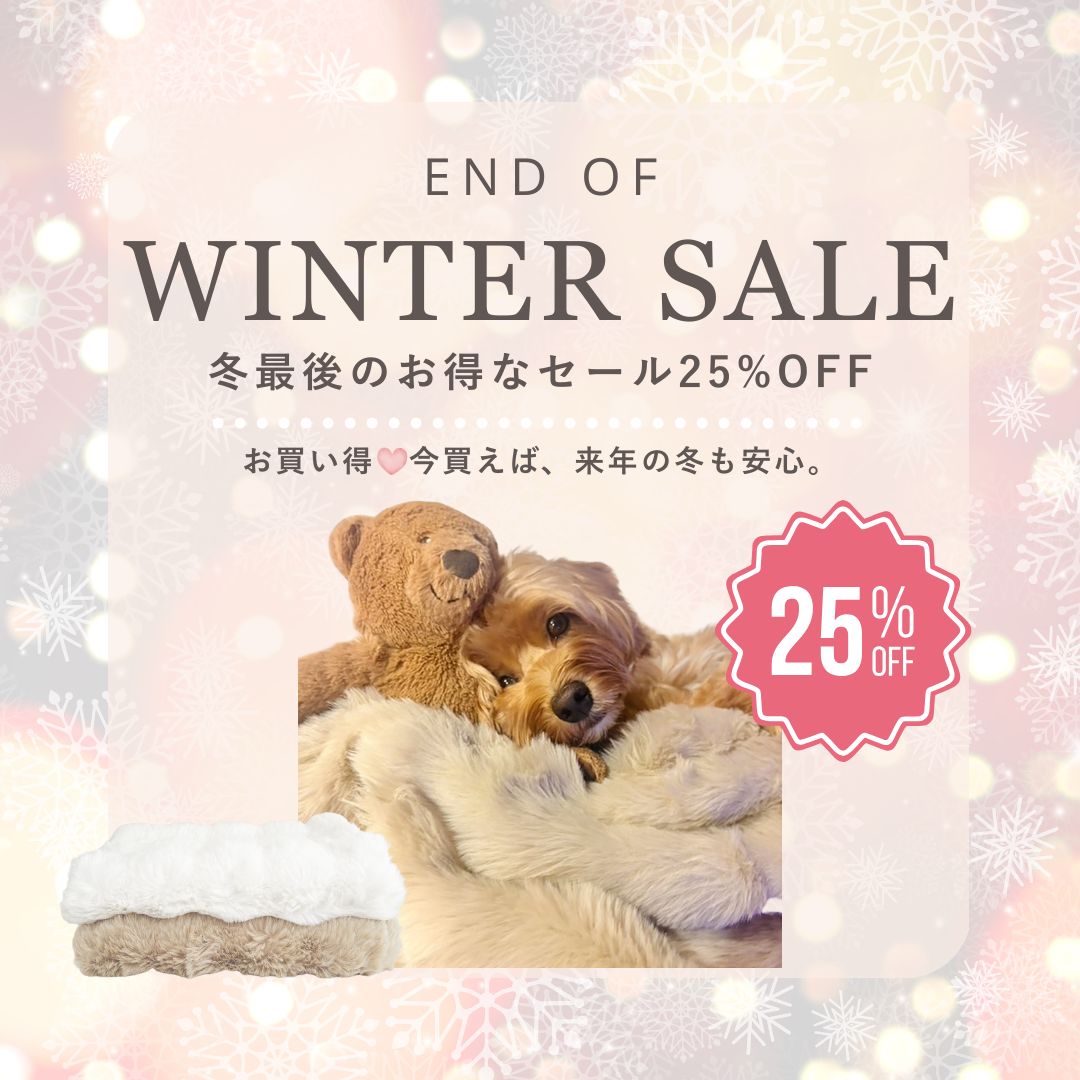 【冬最後の25%OFF】モコふわブランケット・本日スタート