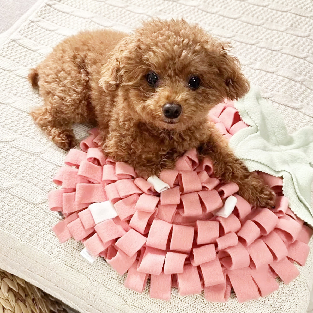 【雨の日の遊び】お散歩に行けなくても大満足！室内を最高の遊び場にする方法