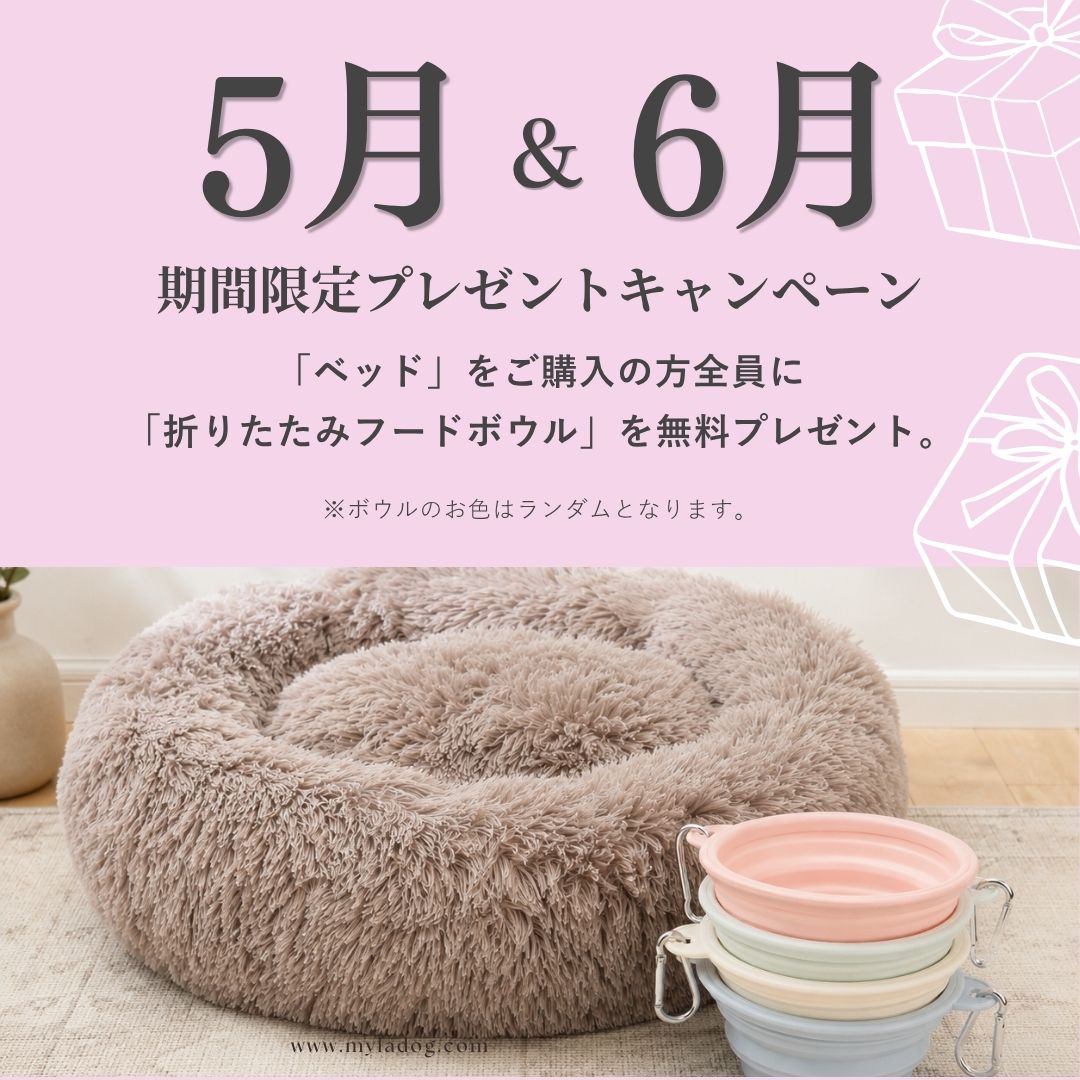 【5・6月限定】ベッド購入でフードボウル無料プレゼント