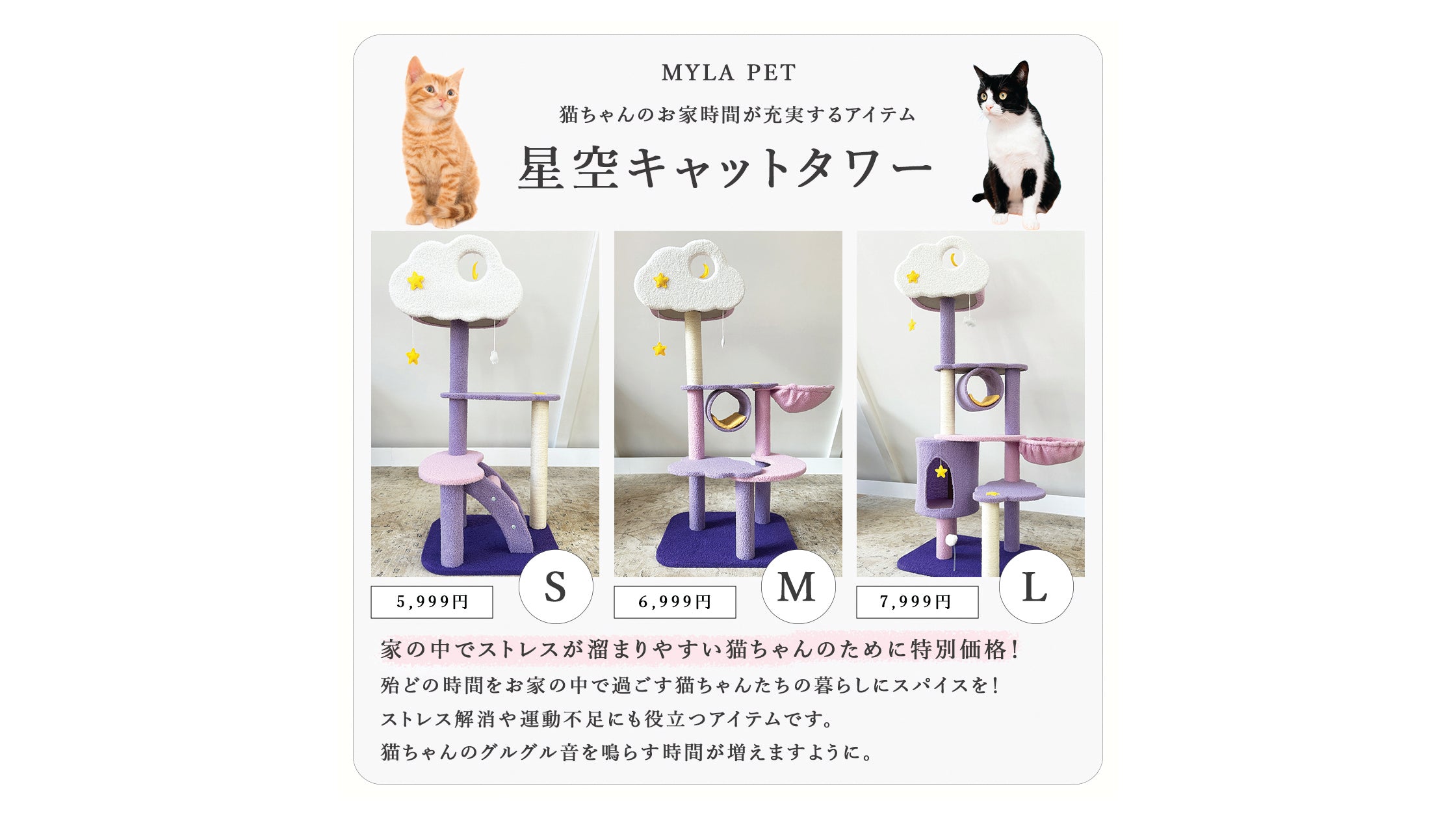 星空キャットタワー特別価格でお買い上げいただけます！