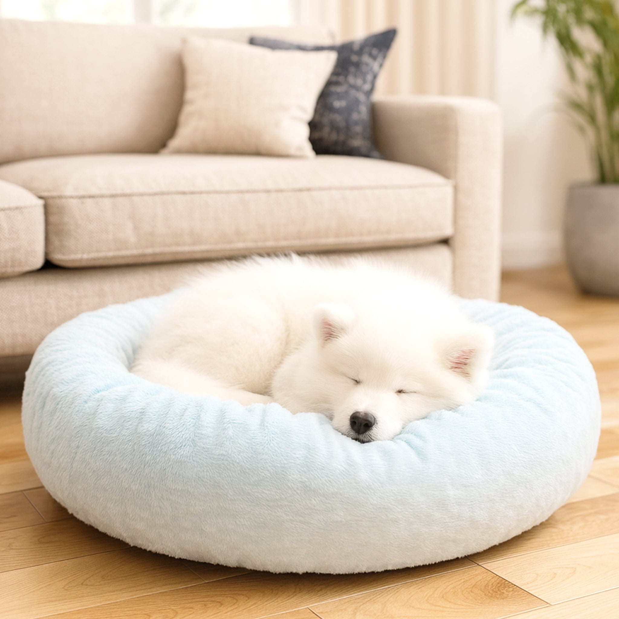 【愛犬と小旅行】宿泊先でもぐっすり眠れる？「いつものベッド」が安心感を生む理由