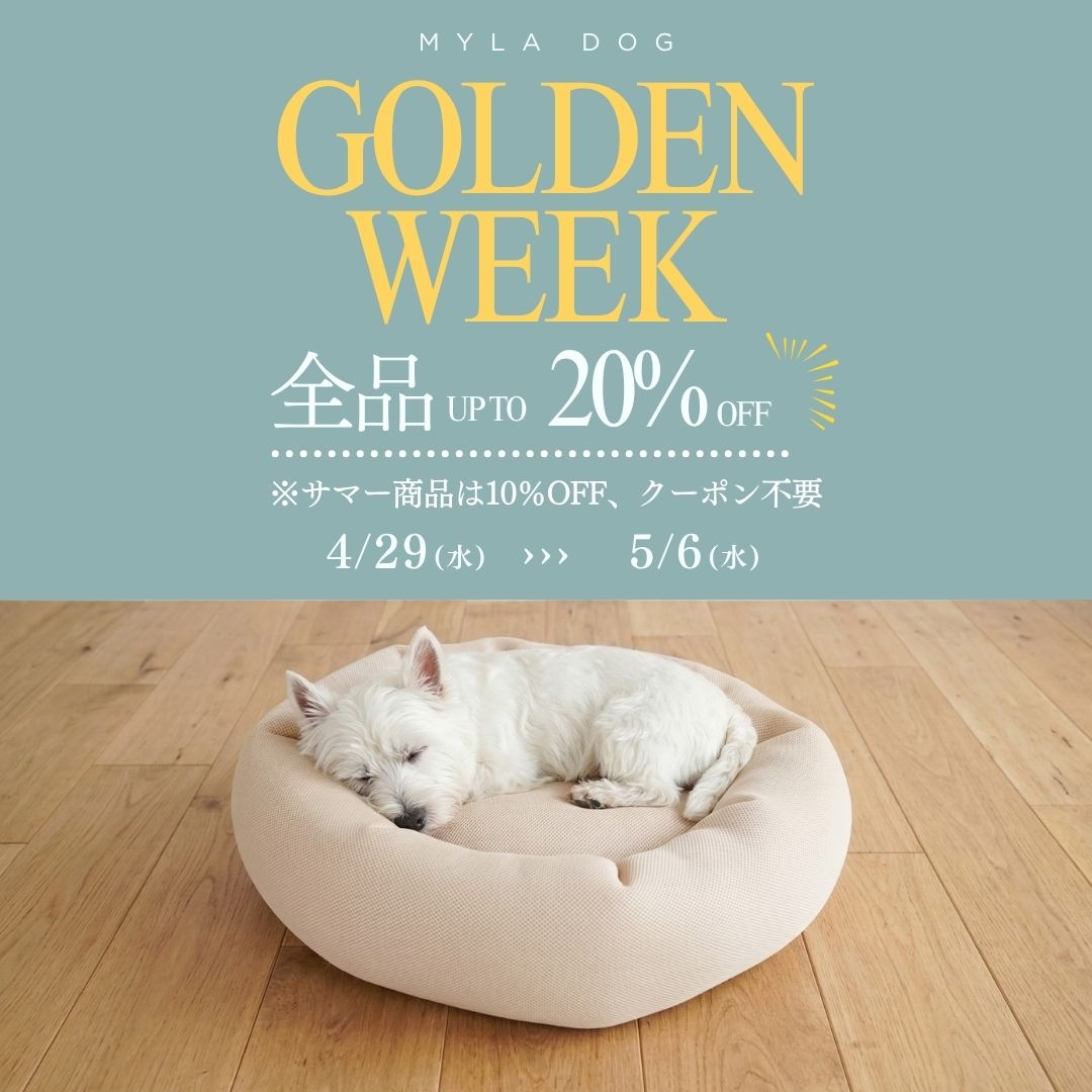 GW期間限定セールスタートです！