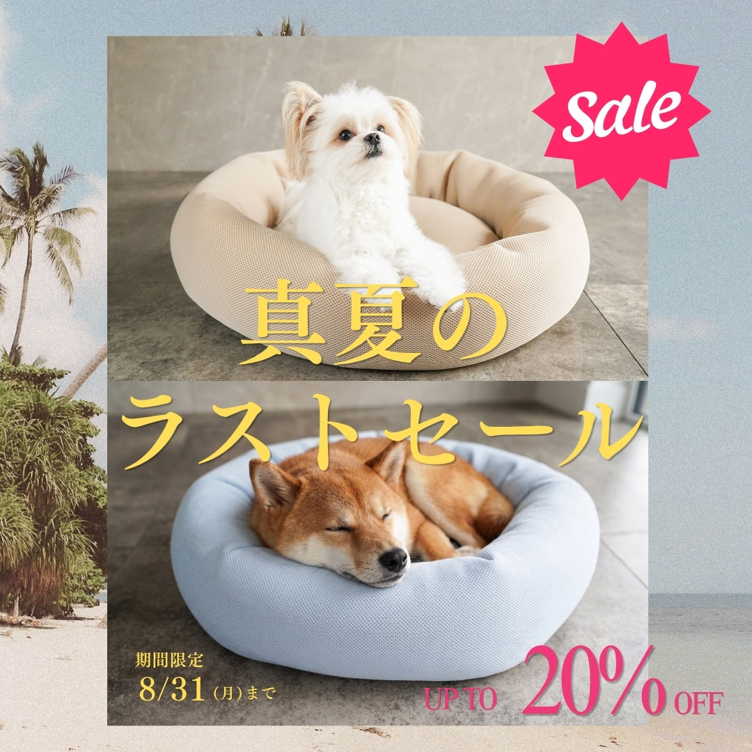 【真夏のラストチャンス】8/31まで期間限定｜最大20％OFF！