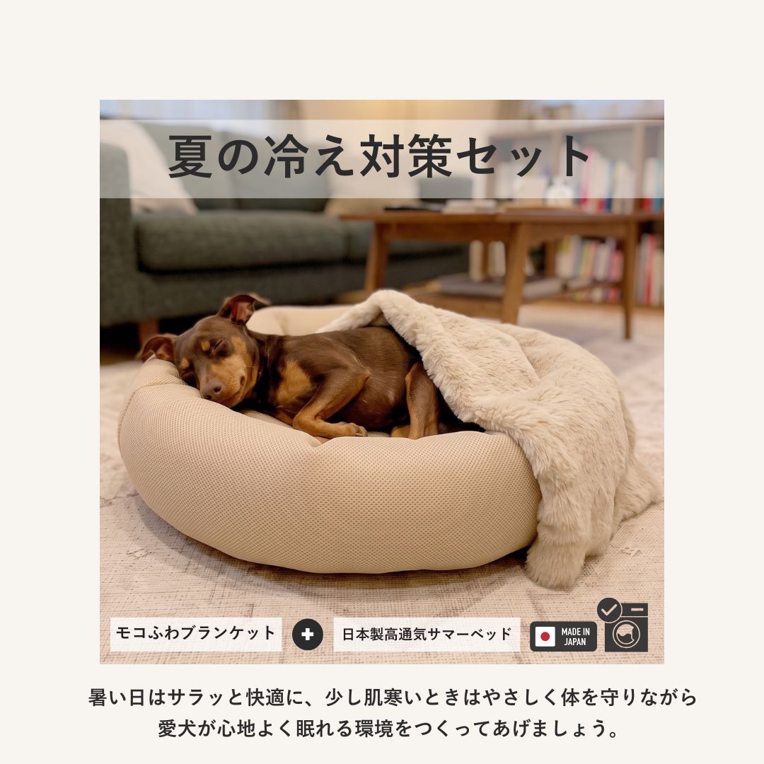 夏の冷え対策セット（日本製高通気サマーベッド＋モコふわブランケット）★Sサイズのみご予約:7月中旬入荷予定