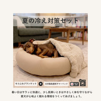 Thumbnail for 夏の冷え対策セット（日本製高通気サマーベッド＋モコふわブランケット）★Sサイズのみご予約:7月中旬入荷予定