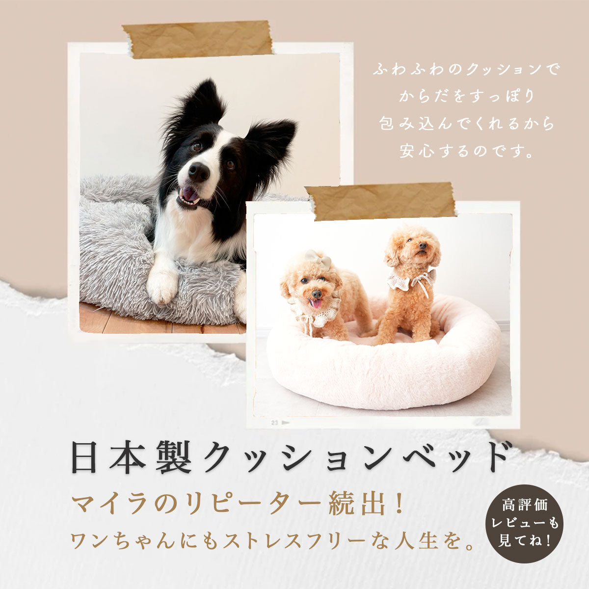 日本製クッションベッドご予約専用（お届け時期：9月中旬）