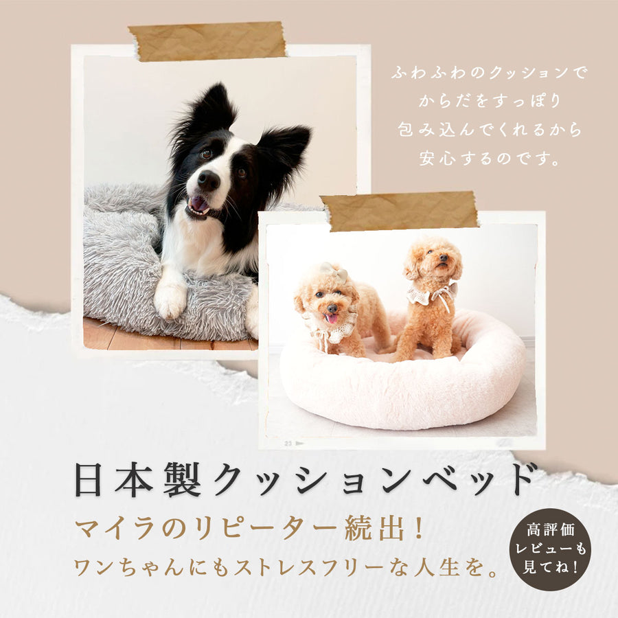 日本製クッションベッドご予約専用（お届け時期：12月中旬）