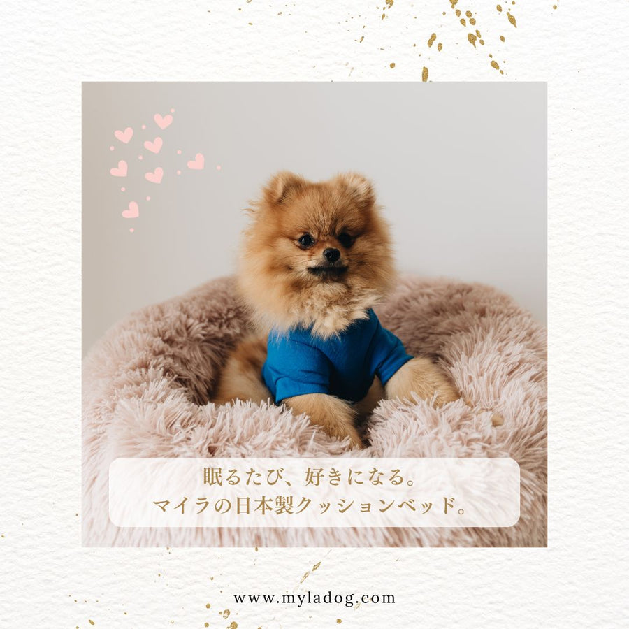 日本製クッションベッドご予約専用（お届け時期：12月中旬）