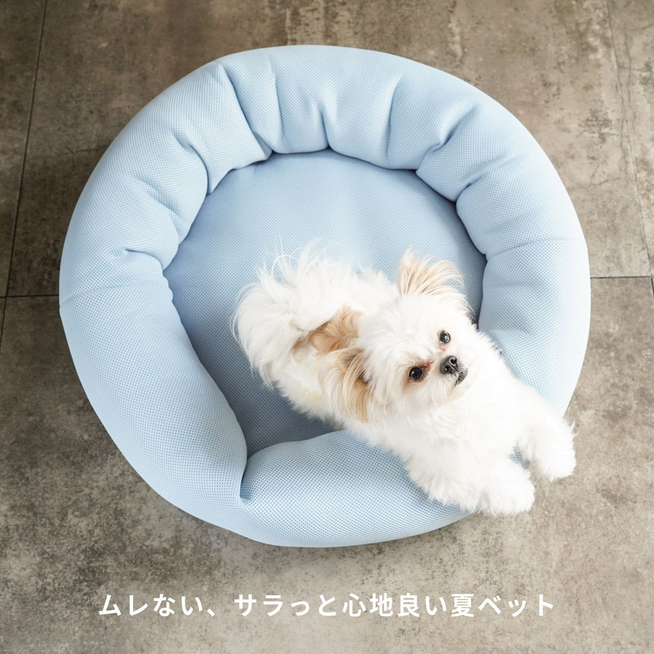夏の冷え対策セット（日本製高通気サマーベッド＋モコふわブランケット）★Sサイズのみご予約:7月中旬入荷予定