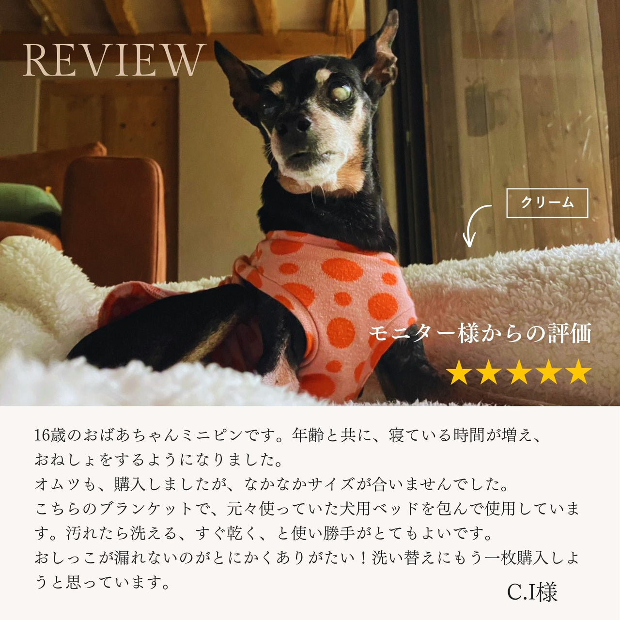 【NEW】リバーシブル防水ブランケット（お届け時期：6月中旬）