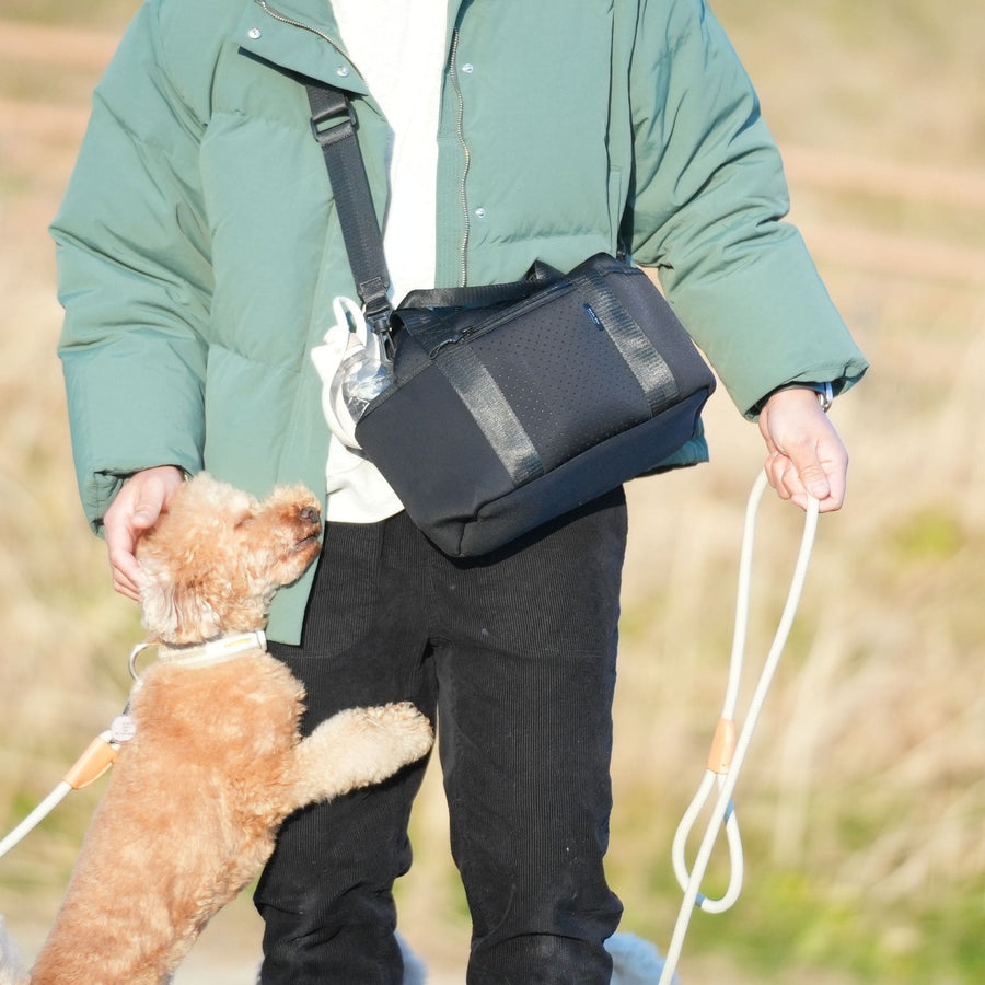 【おやつケースが付いてくるキャンペーン実施中】 犬のお散歩バッグ（ブラック）