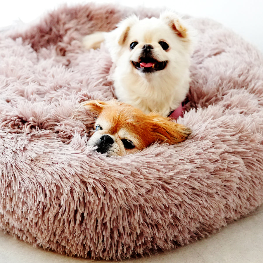 日本製クッションベッドご予約専用（お届け時期：12月中旬）