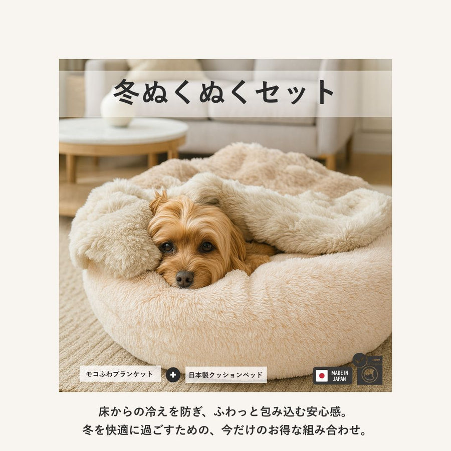 冬ぬくぬくセット（日本製クッションベッド＋モコふわブランケット）