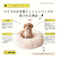 Thumbnail for 日本製クッションベッドご予約専用（お届け時期：9月中旬）