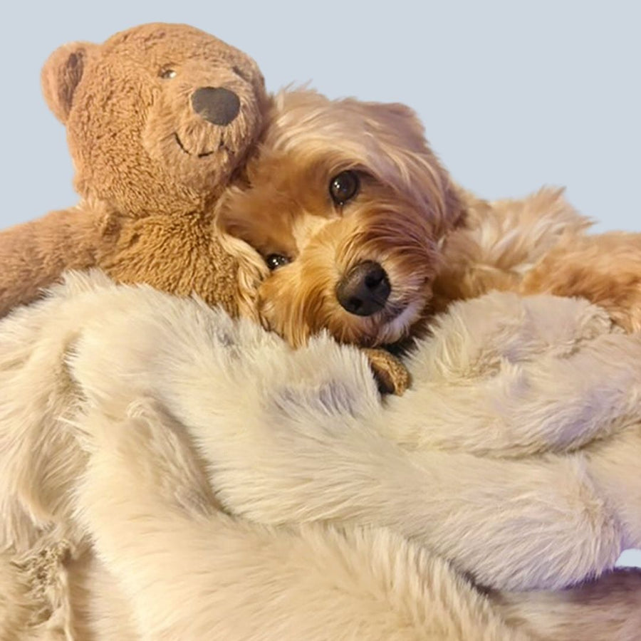 マイラ【モコふわブランケット】