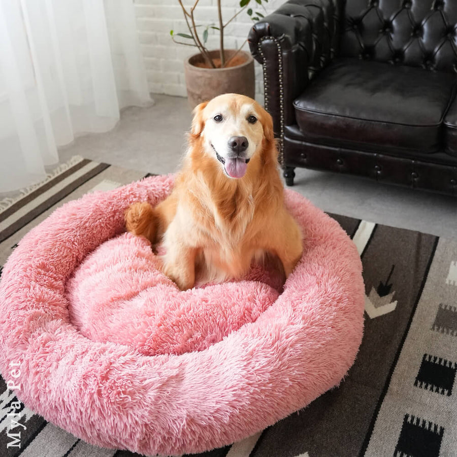 日本製クッションベッドご予約専用（お届け時期：12月中旬）