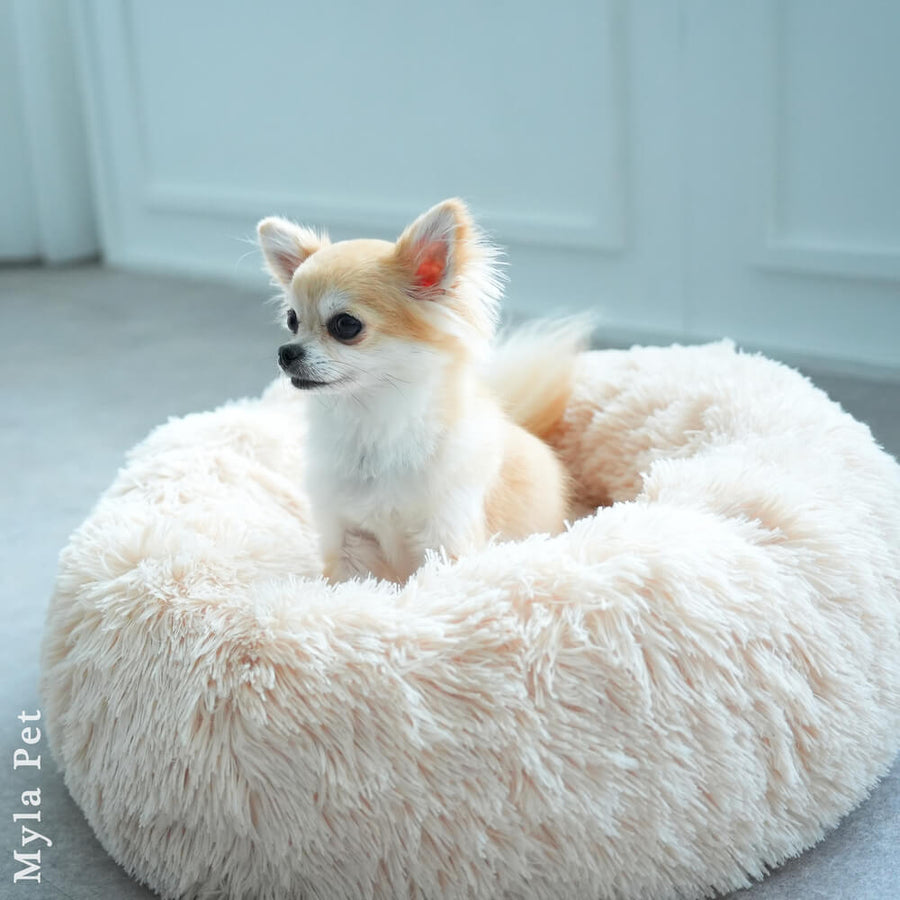 マイラ 日本製クッションベッド