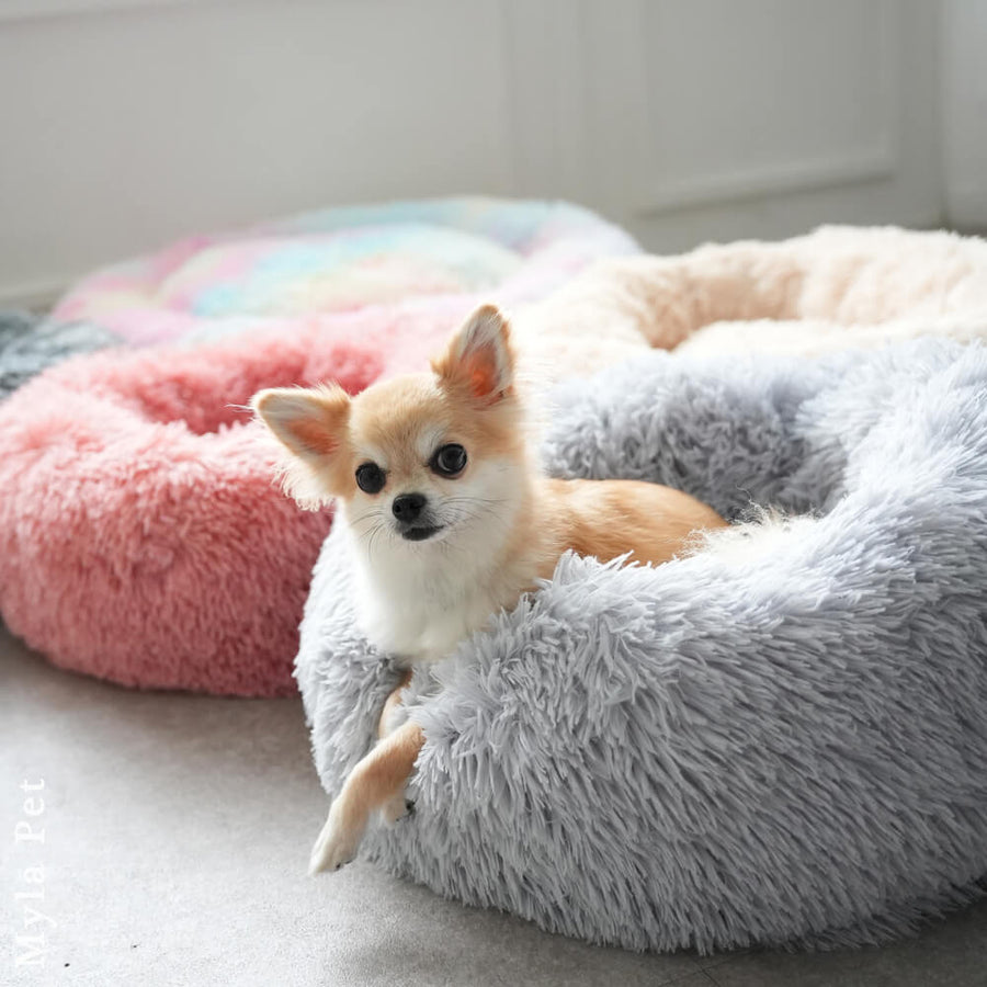 マイラ 日本製クッションベッド