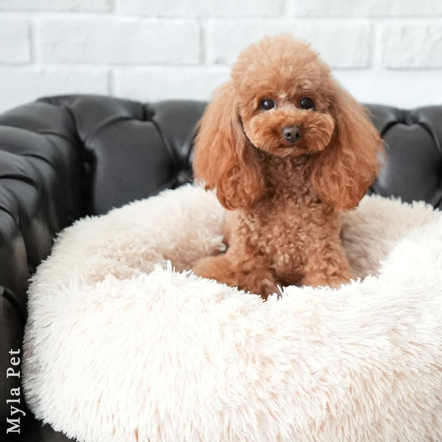 マイラ 日本製クッションベッド