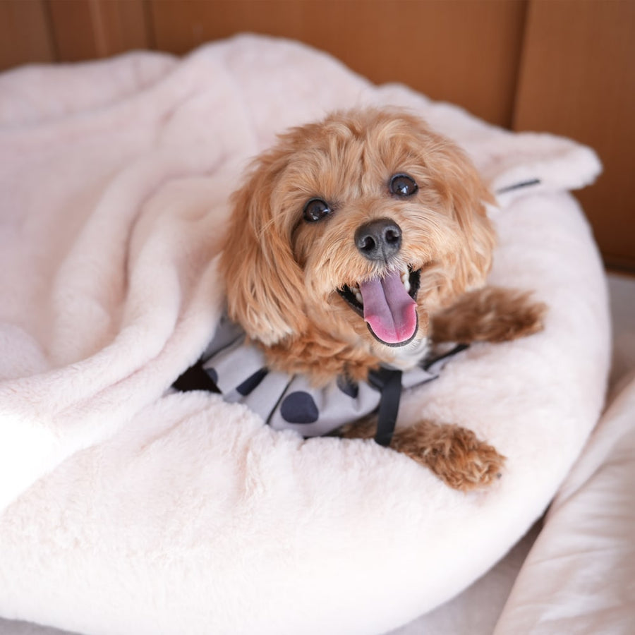 マイラ 日本製クッションベッド