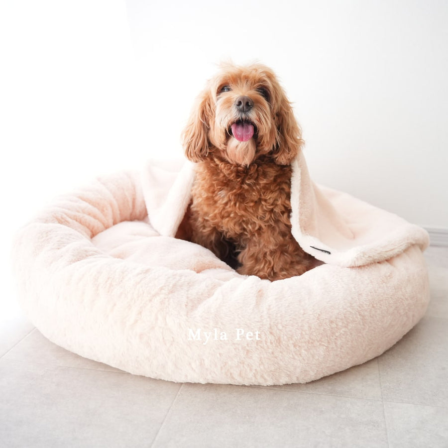 マイラ 日本製クッションベッド