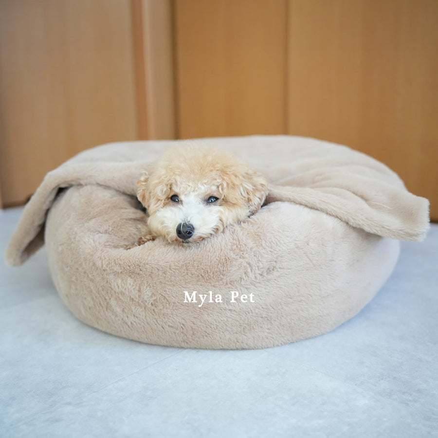 マイラ 日本製クッションベッド