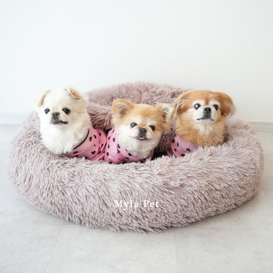 マイラ 日本製クッションベッド