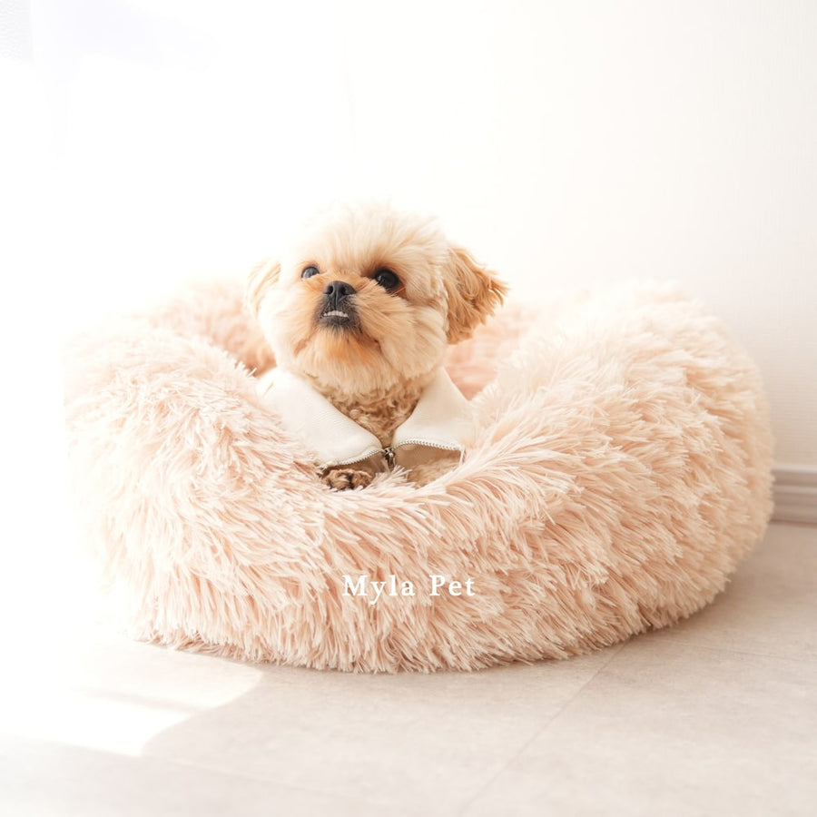 マイラ 日本製クッションベッド