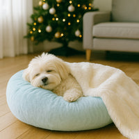 Thumbnail for マイラ 日本製クッションベッド