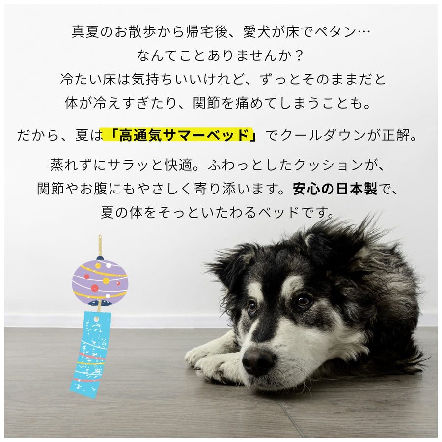 夏の冷え対策セット（日本製高通気サマーベッド＋モコふわブランケット）★Sサイズのみご予約:7月中旬入荷予定
