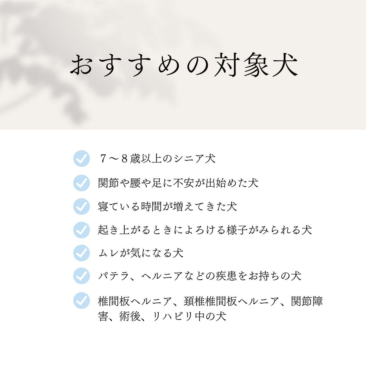 NEW【日本製】ケアベッド（ご予約受付中★10月下旬出荷予定）