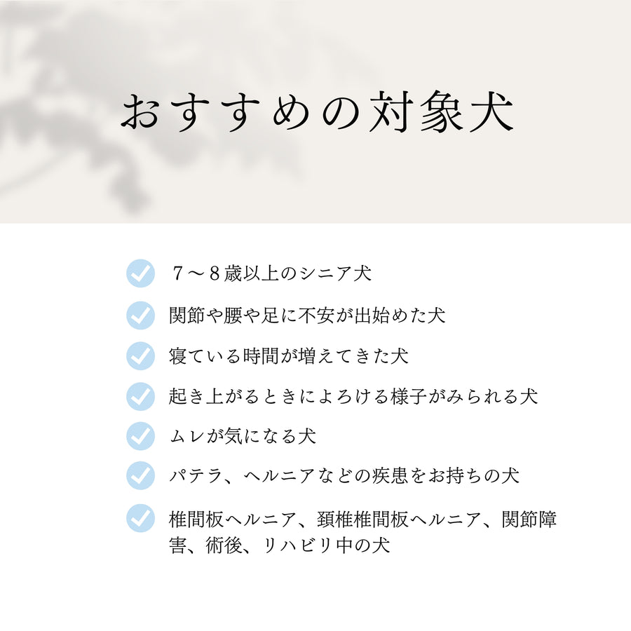 NEW【日本製】ケアベッド（ご予約受付中★10月下旬出荷予定）