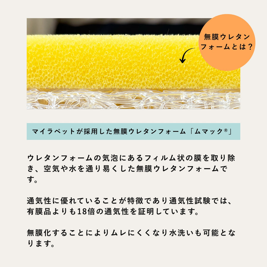NEW【日本製】ケアベッド（ご予約受付中★10月下旬出荷予定）