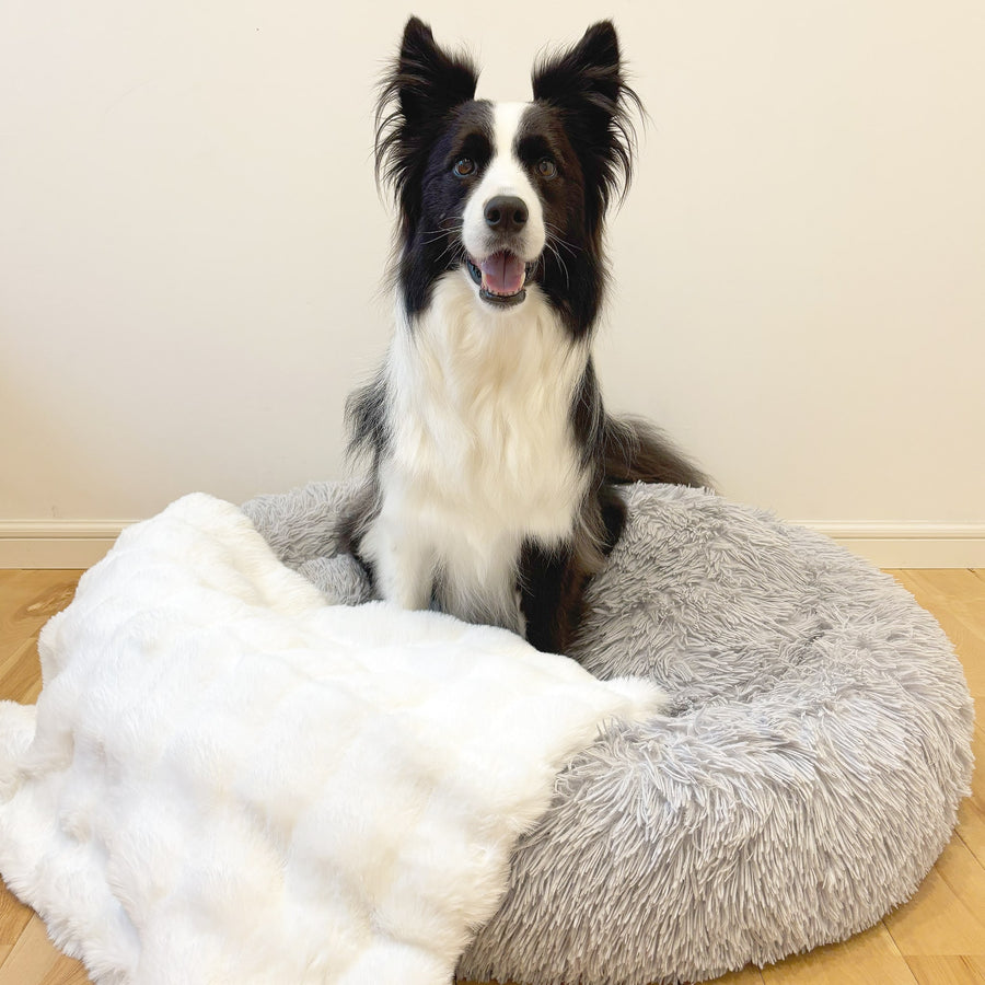 マイラ【モコふわブランケット】