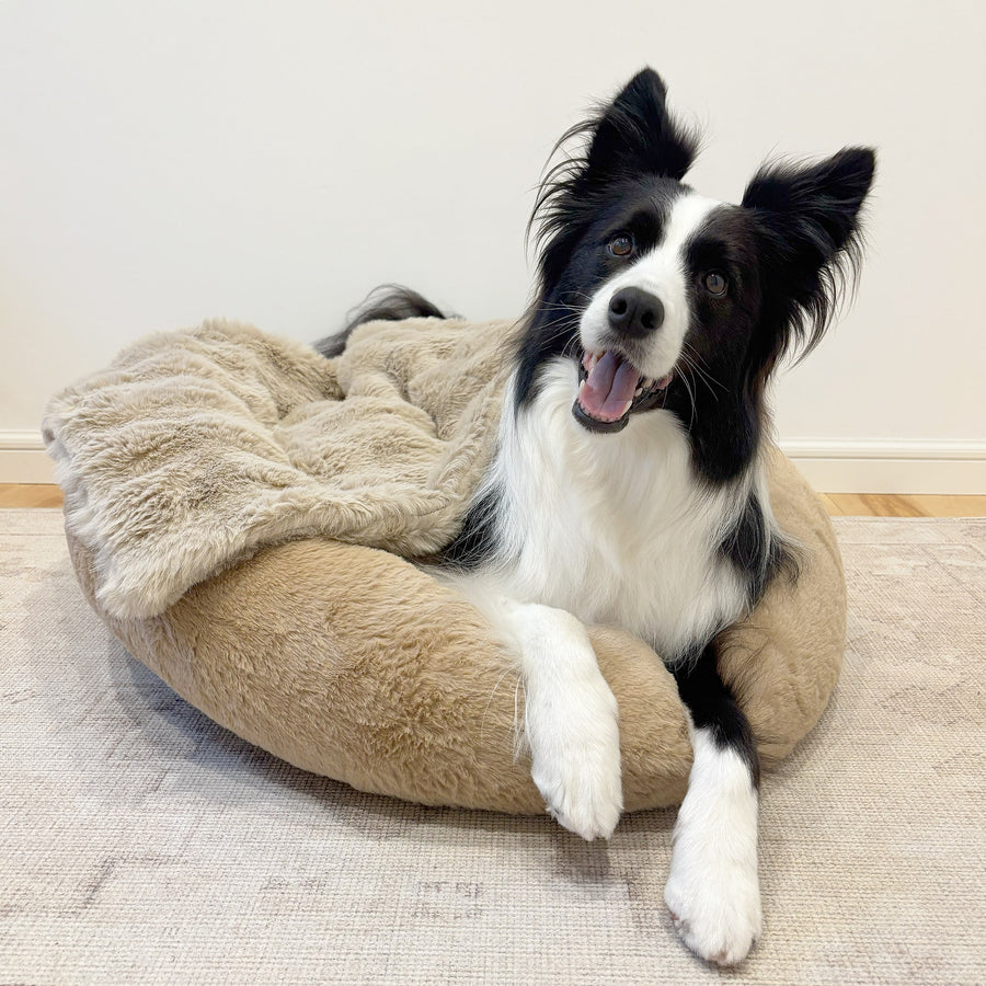 マイラ【モコふわブランケット】