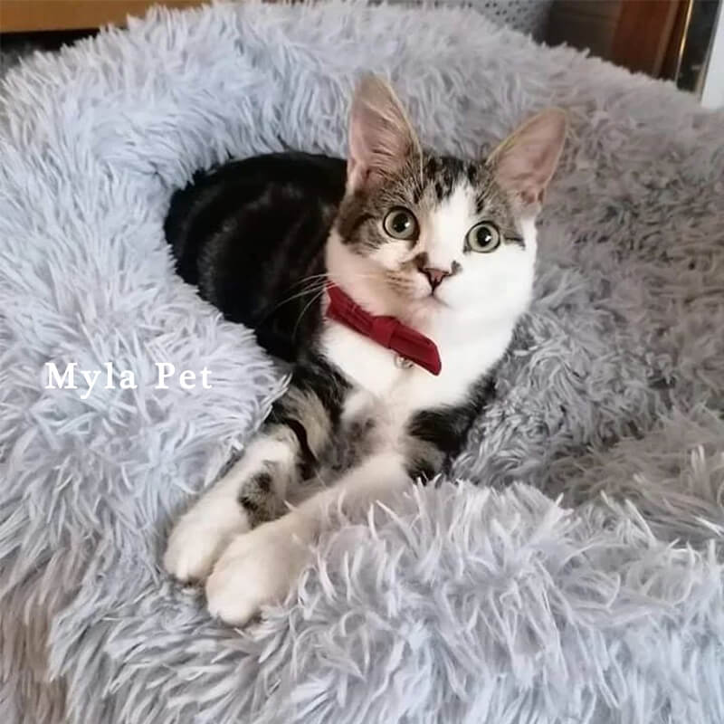 マイラ 猫用ベッド  洗えるカバー型